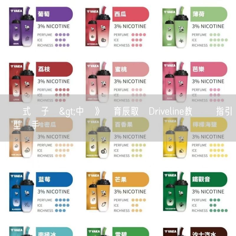 拋棄式電子煙>中職》劉育辰取經Driveline教練學 指引練習型選手